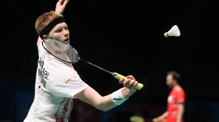 可以看到某 可以看到某